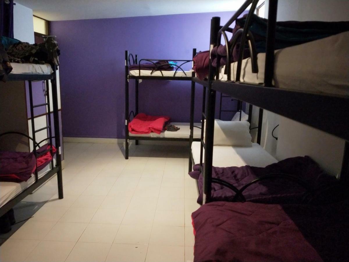 Bed 8-Bed Mixed Dormitory Room,789715986:JPEG